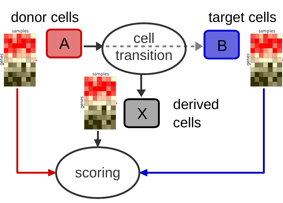 Summer Project: Computational method for evaluating cell identity