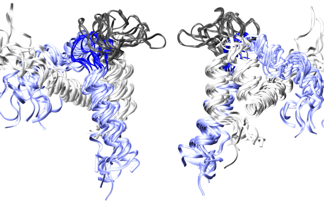 Summer Project: Machine learning framework to analyse molecular dynamics simulations